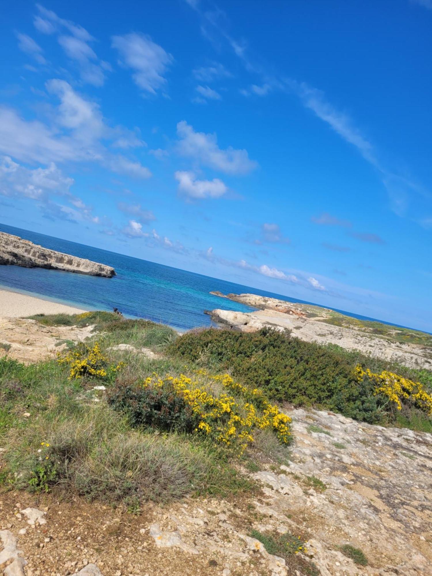 Cala Paradiso Monopoli Eksteriør billede