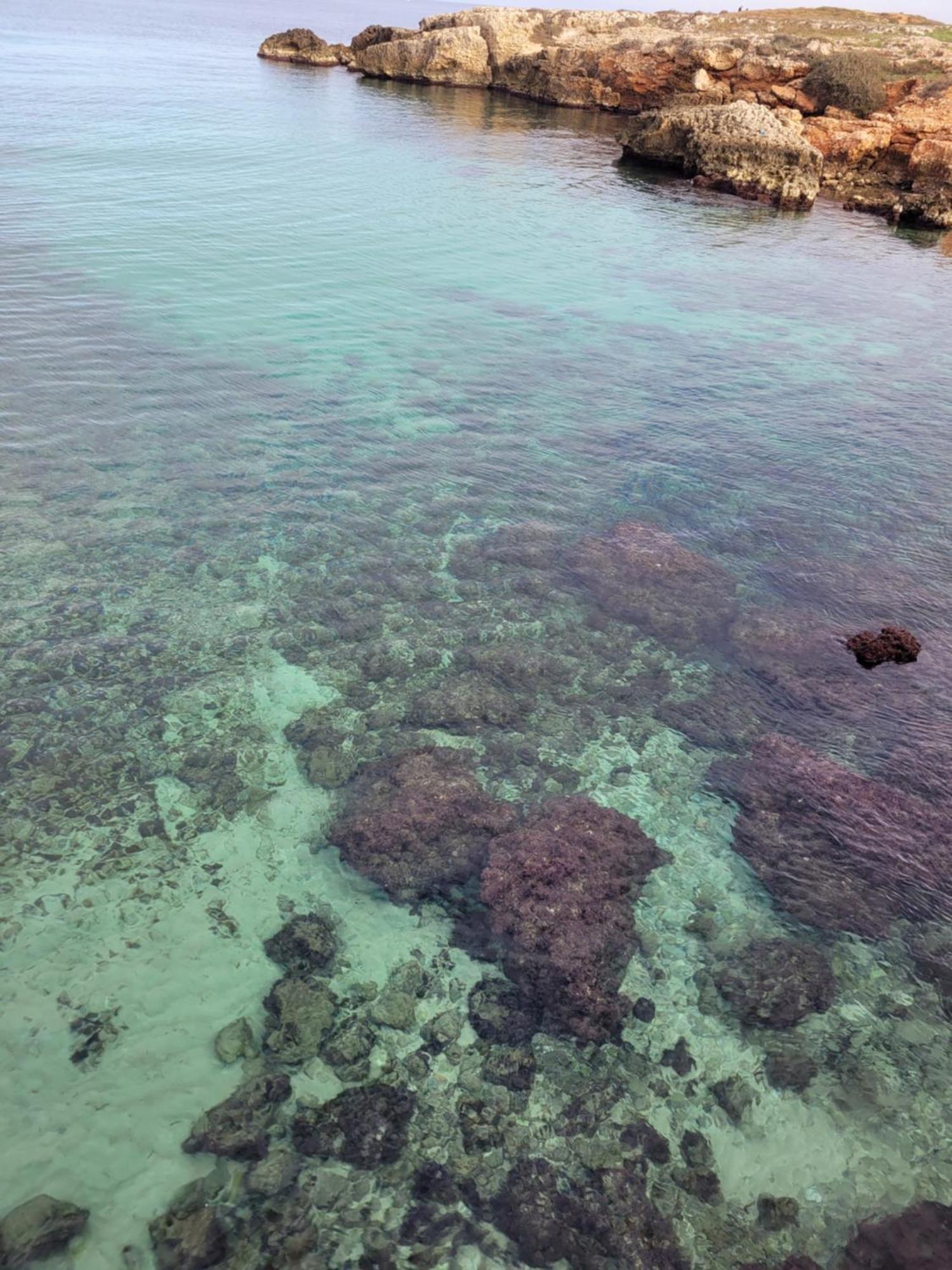 Cala Paradiso Monopoli Eksteriør billede