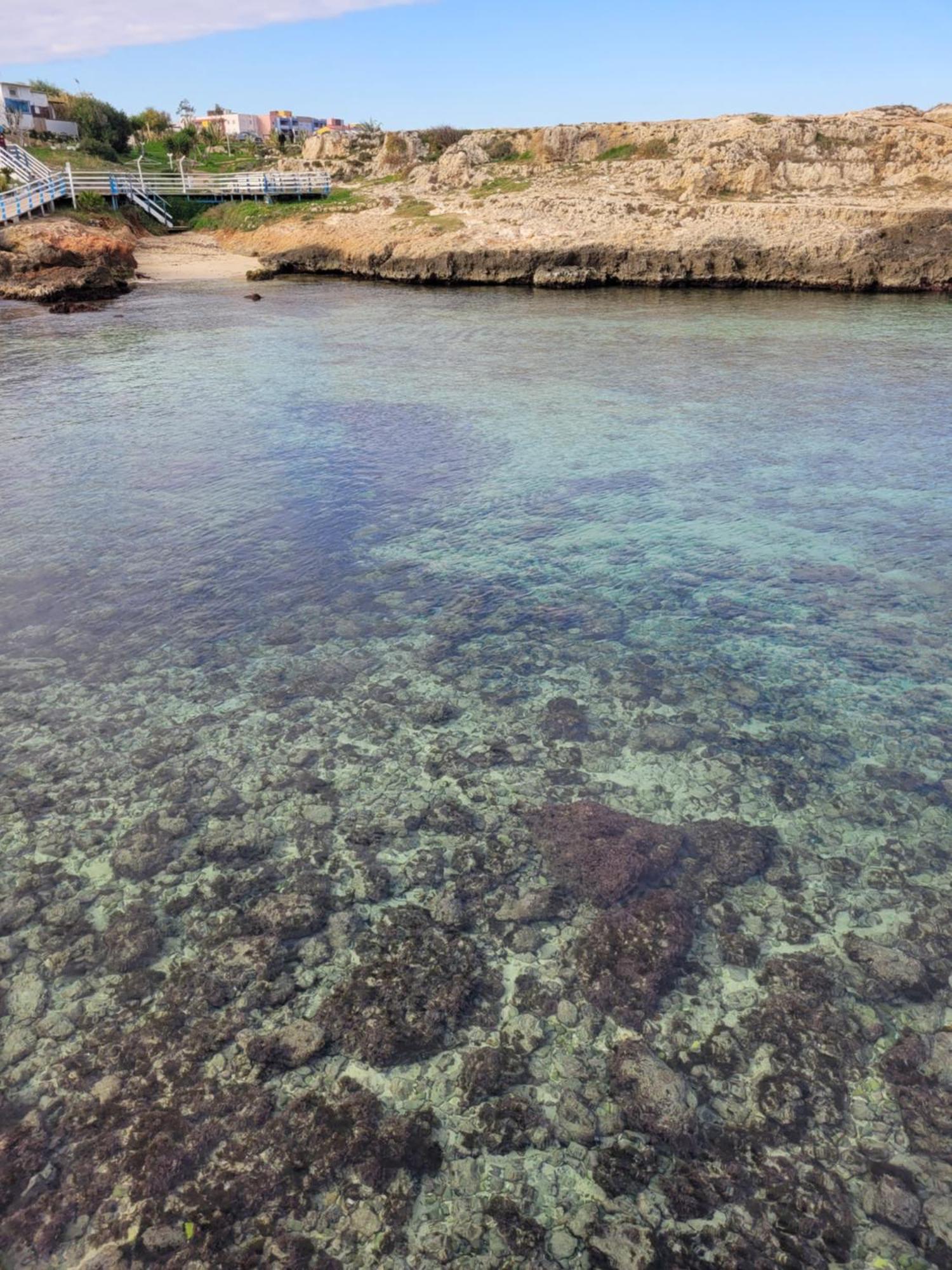 Cala Paradiso Monopoli Eksteriør billede