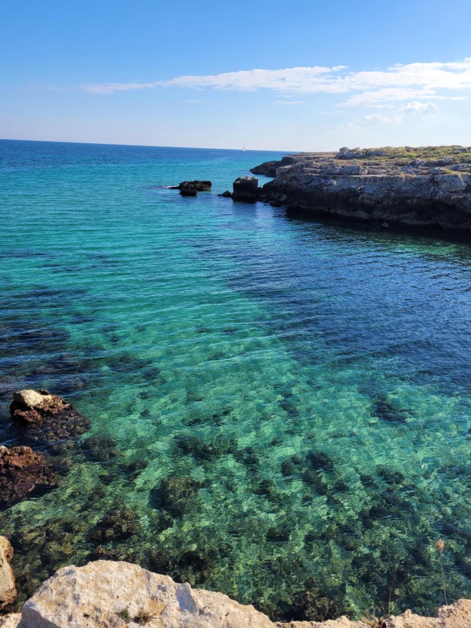 Cala Paradiso Monopoli Eksteriør billede